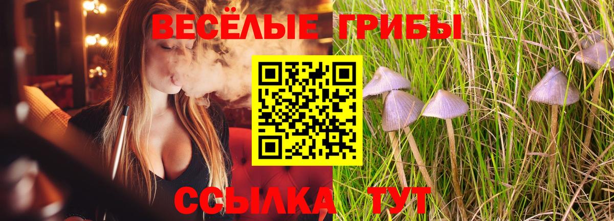 Псилоцибиновые грибы мицелий Азов