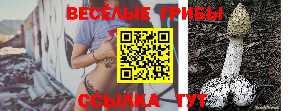 Галлюциногенные грибы Psilocybe  Вход с VPN  Азов  Псилоцибиновые грибы MAGIC MUSHROOMS 